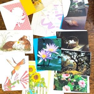 Current Inc Photography Collection and stationery Happy Birthday plus more